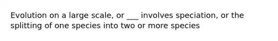 Evolution on a large scale, or ___ involves speciation, or the splitting of one species into two or more species