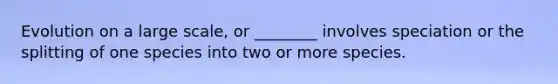 Evolution on a large scale, or ________ involves speciation or the splitting of one species into two or more species.