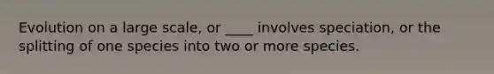 Evolution on a large scale, or ____ involves speciation, or the splitting of one species into two or more species.