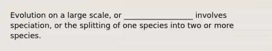 Evolution on a large scale, or __________________ involves speciation, or the splitting of one species into two or more species.