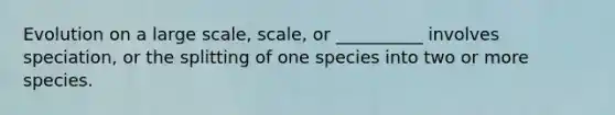 Evolution on a large scale, scale, or __________ involves speciation, or the splitting of one species into two or more species.