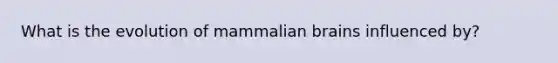 What is the evolution of mammalian brains influenced by?