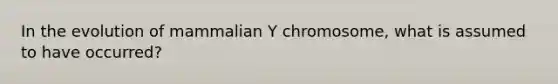 In the evolution of mammalian Y chromosome, what is assumed to have occurred?