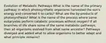 Evolution of Metabolic Pathways What is the name of the primary pathway in which photosynthetic organisms harvested the sun's energy and converted it to carbs? What are the by-products of photosynthesis? What is the name of the process where some eukaryotes perform catabolic processes without oxygen? If all branches of life share some of the same metabolic pathways, then all organisms evolved from what same ancestor? Pathways diverged and added what to allow organisms to better adapt and what principle remains?