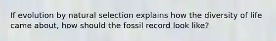 If evolution by natural selection explains how the diversity of life came about, how should the fossil record look like?