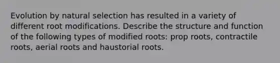 Evolution by natural selection has resulted in a variety of different root modifications. Describe the structure and function of the following types of modified roots: prop roots, contractile roots, aerial roots and haustorial roots.