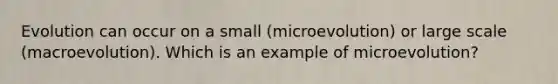 Evolution can occur on a small (microevolution) or large scale (macroevolution). Which is an example of microevolution?