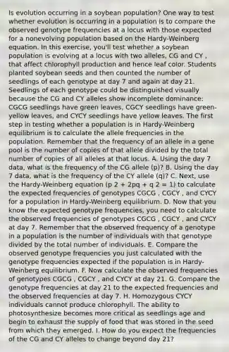 Is evolution occurring in a soybean population? One way to test whether evolution is occurring in a population is to compare the observed genotype frequencies at a locus with those expected for a nonevolving population based on the Hardy-Weinberg equation. In this exercise, you'll test whether a soybean population is evolving at a locus with two alleles, CG and CY , that affect chlorophyll production and hence leaf color. Students planted soybean seeds and then counted the number of seedlings of each genotype at day 7 and again at day 21. Seedlings of each genotype could be distinguished visually because the CG and CY alleles show incomplete dominance: CGCG seedlings have green leaves, CGCY seedlings have green-yellow leaves, and CYCY seedlings have yellow leaves. The first step in testing whether a population is in Hardy-Weinberg equilibrium is to calculate the allele frequencies in the population. Remember that the frequency of an allele in a gene pool is the number of copies of that allele divided by the total number of copies of all alleles at that locus. A. Using the day 7 data, what is the frequency of the CG allele (p)? B. Using the day 7 data, what is the frequency of the CY allele (q)? C. Next, use the Hardy-Weinberg equation (p 2 + 2pq + q 2 = 1) to calculate the expected frequencies of genotypes CGCG , CGCY , and CYCY for a population in Hardy-Weinberg equilibrium. D. Now that you know the expected genotype frequencies, you need to calculate the observed frequencies of genotypes CGCG , CGCY , and CYCY at day 7. Remember that the observed frequency of a genotype in a population is the number of individuals with that genotype divided by the total number of individuals. E. Compare the observed genotype frequencies you just calculated with the genotype frequencies expected if the population is in Hardy-Weinberg equilibrium. F. Now calculate the observed frequencies of genotypes CGCG , CGCY , and CYCY at day 21. G. Compare the genotype frequencies at day 21 to the expected frequencies and the observed frequencies at day 7. H. Homozygous CYCY individuals cannot produce chlorophyll. The ability to photosynthesize becomes more critical as seedlings age and begin to exhaust the supply of food that was stored in the seed from which they emerged. I. How do you expect the frequencies of the CG and CY alleles to change beyond day 21?