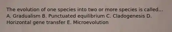 The evolution of one species into two or more species is called... A. Gradualism B. Punctuated equilibrium C. Cladogenesis D. Horizontal gene transfer E. Microevolution