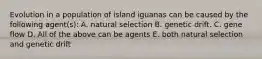 Evolution in a population of island iguanas can be caused by the following agent(s): A. natural selection B. genetic drift. C. gene flow D. All of the above can be agents E. both natural selection and genetic drift