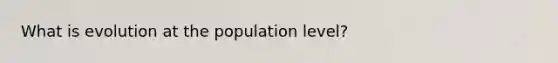 What is evolution at the population level?