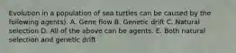 Evolution in a population of sea turtles can be caused by the following agents). A. Gene flow B. Genetic drift C. Natural selection D. All of the above can be agents. E. Both natural selection and genetic drift