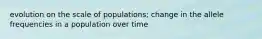 evolution on the scale of populations; change in the allele frequencies in a population over time