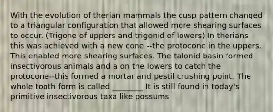 With the evolution of therian mammals the cusp pattern changed to a triangular configuration that allowed more shearing surfaces to occur. (Trigone of uppers and trigonid of lowers) In therians this was achieved with a new cone --the protocone in the uppers. This enabled more shearing surfaces. The talonid basin formed insectivorous animals and a on the lowers to catch the protocone--this formed a mortar and pestil crushing point. The whole tooth form is called ________ It is still found in today's primitive insectivorous taxa like possums