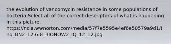 the evolution of vancomycin resistance in some populations of bacteria Select all of the correct descriptors of what is happening in this picture. https://ncia.wwnorton.com/media/57f7e5595e4ef6e50579a9d1/Inq_BN2_12.6-8_BIONOW2_IQ_12_12.jpg