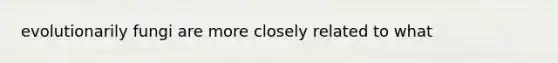 evolutionarily fungi are more closely related to what
