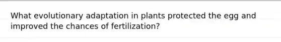 What evolutionary adaptation in plants protected the egg and improved the chances of fertilization?