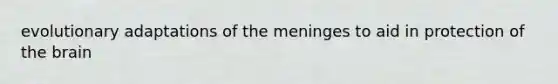 evolutionary adaptations of the meninges to aid in protection of the brain