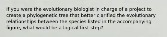 If you were the evolutionary biologist in charge of a project to create a phylogenetic tree that better clarified the evolutionary relationships between the species listed in the accompanying figure, what would be a logical first step?