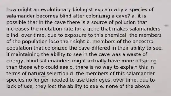 how might an evolutionary biologist explain why a species of salamander becomes blind after colonizing a cave? a. it is possible that in the cave there is a source of pollution that increases the mutation rate for a gene that makes salamanders blind. over time, due to exposure to this chemical, the members of the population lose their sight b. members of the ancestral population that colonized the cave differed in their ability to see. if maintaining the ability to see in the cave was a waste of energy, blind salamanders might actually have more offspring than those who could see c. there is no way to explain this in terms of natural selection d. the members of this salamander species no longer needed to use their eyes. over time, due to lack of use, they lost the ability to see e. none of the above