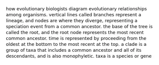 how evolutionary biologists diagram evolutionary relationships among organisms. vertical lines called branches represent a lineage, and nodes are where they diverge, representing a speciation event from a common ancestor. the base of the tree is called the root, and the root node represents the most recent common ancestor. time is represented by proceeding from the oldest at the bottom to the most recent at the top. a clade is a group of taxa that includes a common ancestor and all of its descendants, and is also monophyletic. taxa is a species or gene