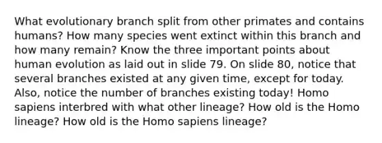 What evolutionary branch split from other primates and contains humans? How many species went extinct within this branch and how many remain? Know the three important points about human evolution as laid out in slide 79. On slide 80, notice that several branches existed at any given time, except for today. Also, notice the number of branches existing today! Homo sapiens interbred with what other lineage? How old is the Homo lineage? How old is the Homo sapiens lineage?