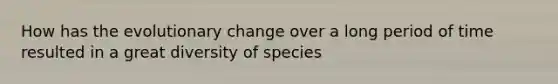 How has the evolutionary change over a long period of time resulted in a great diversity of species