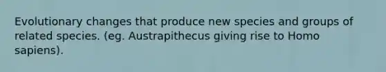 Evolutionary changes that produce new species and groups of related species. (eg. Austrapithecus giving rise to Homo sapiens).