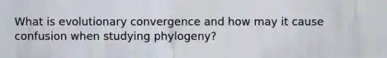 What is evolutionary convergence and how may it cause confusion when studying phylogeny?