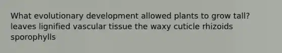 What evolutionary development allowed plants to grow tall? leaves lignified vascular tissue the waxy cuticle rhizoids sporophylls