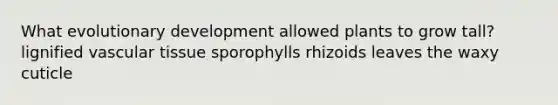 What evolutionary development allowed plants to grow tall? lignified vascular tissue sporophylls rhizoids leaves the waxy cuticle