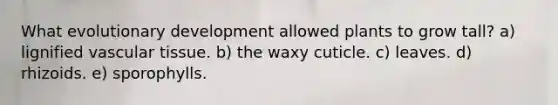 What evolutionary development allowed plants to grow tall? a) lignified vascular tissue. b) the waxy cuticle. c) leaves. d) rhizoids. e) sporophylls.