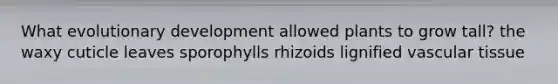 What evolutionary development allowed plants to grow tall? the waxy cuticle leaves sporophylls rhizoids lignified vascular tissue