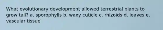What evolutionary development allowed terrestrial plants to grow tall? a. sporophylls b. waxy cuticle c. rhizoids d. leaves e. vascular tissue