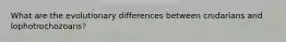 What are the evolutionary differences between cnidarians and lophotrochozoans?