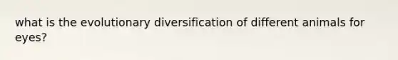 what is the evolutionary diversification of different animals for eyes?