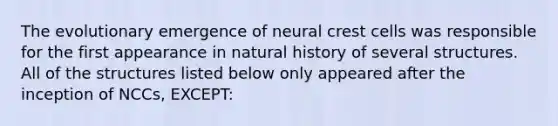 The evolutionary emergence of neural crest cells was responsible for the first appearance in natural history of several structures. All of the structures listed below only appeared after the inception of NCCs, EXCEPT: