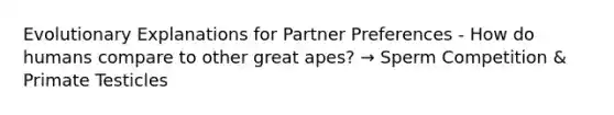 Evolutionary Explanations for Partner Preferences - How do humans compare to other great apes? → Sperm Competition & Primate Testicles