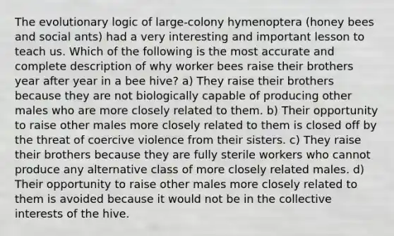 The evolutionary logic of large-colony hymenoptera (honey bees and social ants) had a very interesting and important lesson to teach us. Which of the following is the most accurate and complete description of why worker bees raise their brothers year after year in a bee hive? a) They raise their brothers because they are not biologically capable of producing other males who are more closely related to them. b) Their opportunity to raise other males more closely related to them is closed off by the threat of coercive violence from their sisters. c) They raise their brothers because they are fully sterile workers who cannot produce any alternative class of more closely related males. d) Their opportunity to raise other males more closely related to them is avoided because it would not be in the collective interests of the hive.