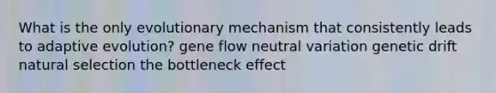 What is the only evolutionary mechanism that consistently leads to adaptive evolution? gene flow neutral variation genetic drift natural selection the bottleneck effect