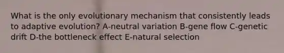 What is the only evolutionary mechanism that consistently leads to adaptive evolution? A-neutral variation B-gene flow C-genetic drift D-the bottleneck effect E-natural selection