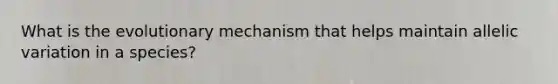 What is the evolutionary mechanism that helps maintain allelic variation in a species?