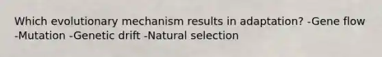 Which evolutionary mechanism results in adaptation? -Gene flow -Mutation -Genetic drift -Natural selection