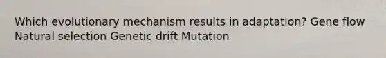 Which evolutionary mechanism results in adaptation? Gene flow Natural selection Genetic drift Mutation