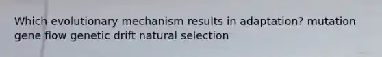 Which evolutionary mechanism results in adaptation? mutation gene flow genetic drift natural selection