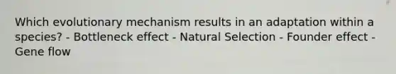 Which evolutionary mechanism results in an adaptation within a species? - Bottleneck effect - Natural Selection - Founder effect - Gene flow