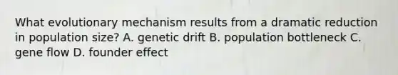 What evolutionary mechanism results from a dramatic reduction in population size? A. genetic drift B. population bottleneck C. gene flow D. founder effect