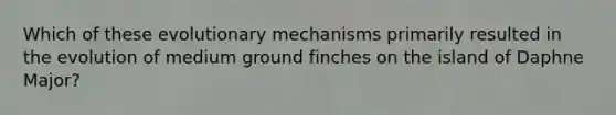 Which of these evolutionary mechanisms primarily resulted in the evolution of medium ground finches on the island of Daphne Major?