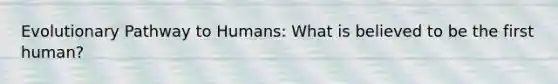 Evolutionary Pathway to Humans: What is believed to be the first human?