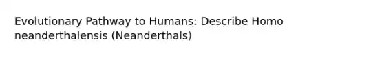 Evolutionary Pathway to Humans: Describe Homo neanderthalensis (Neanderthals)